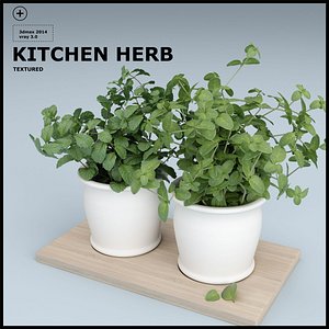 KITCHEN HERB
