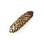 Pinecone