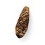 Pinecone