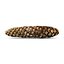 Pinecone