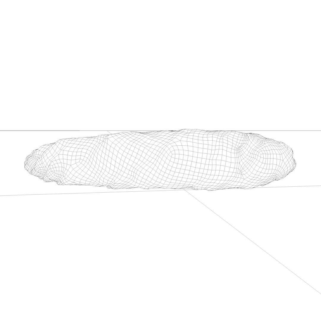 pine cone 3D model https://p.turbosquid.com/ts-thumb/Eu/rouv6e/TqTUKcy8/pinecone_wf/jpg/1492994671/1920x1080/fit_q87/bbf2439dab0090adeb8924b132d8250af2dc0507/pinecone_wf.jpg