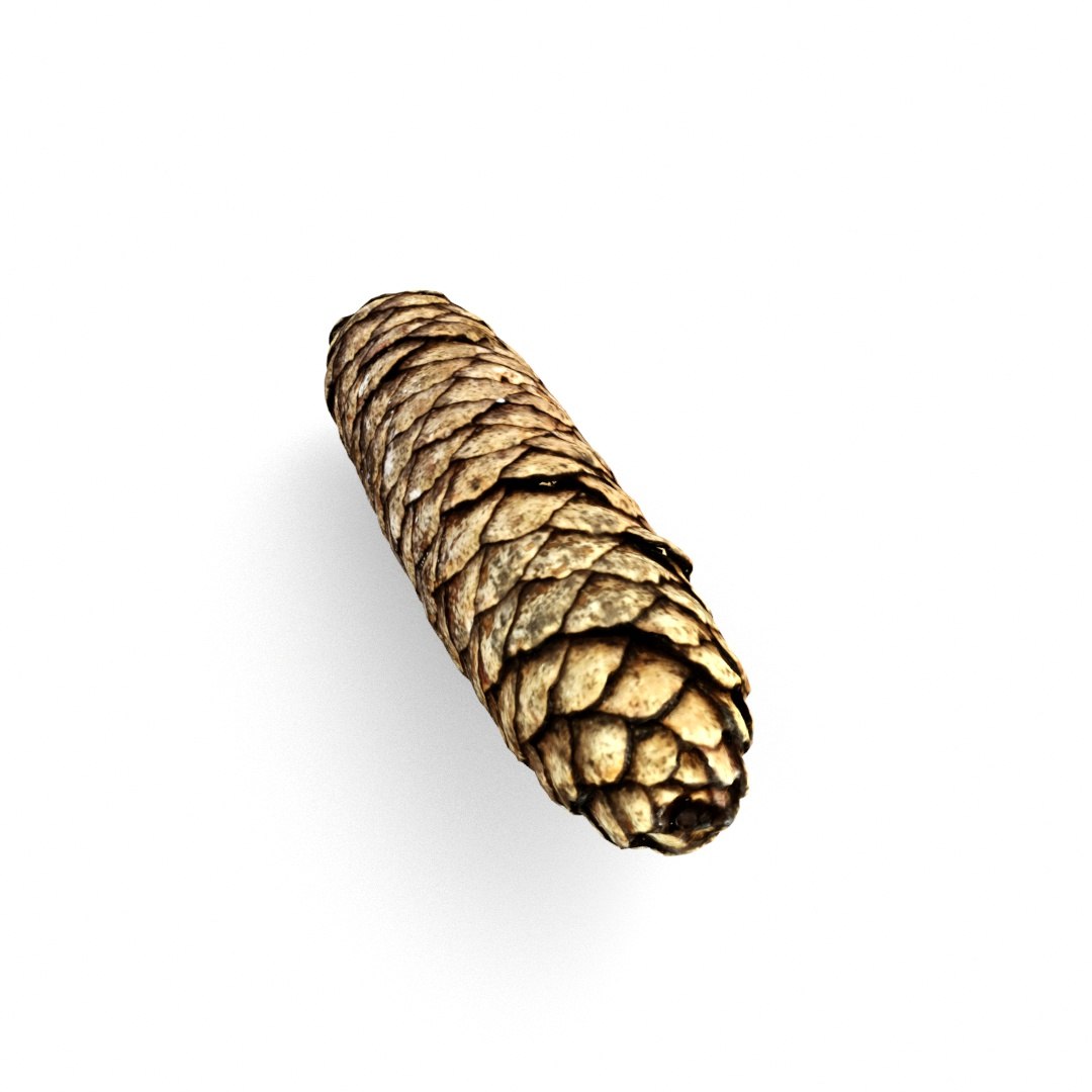 pine cone 3D model https://p.turbosquid.com/ts-thumb/Eu/rouv6e/qAWjPbdv/pinecone1_4/jpg/1493488512/1920x1080/fit_q87/5c6b72acced745900b48c97a7c8107fb7bfbe2c6/pinecone1_4.jpg