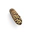 Pinecone