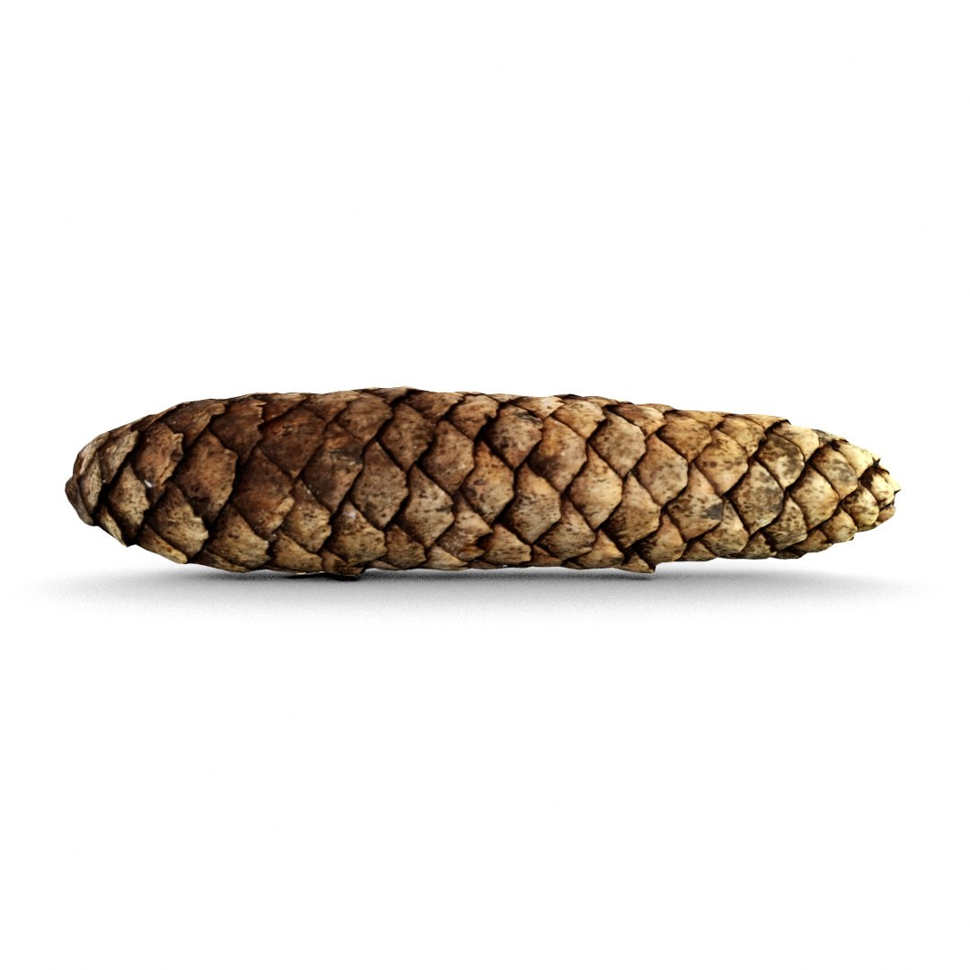 pine cone 3D model https://p.turbosquid.com/ts-thumb/Eu/rouv6e/u6wZMWC8/pinecone1_2/jpg/1493488512/1920x1080/fit_q87/44dadb567ec06394e1a187a12956b588d9da75a1/pinecone1_2.jpg