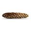 Pinecone