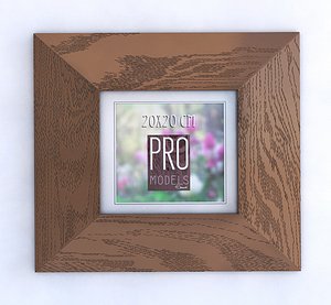 PRO frame