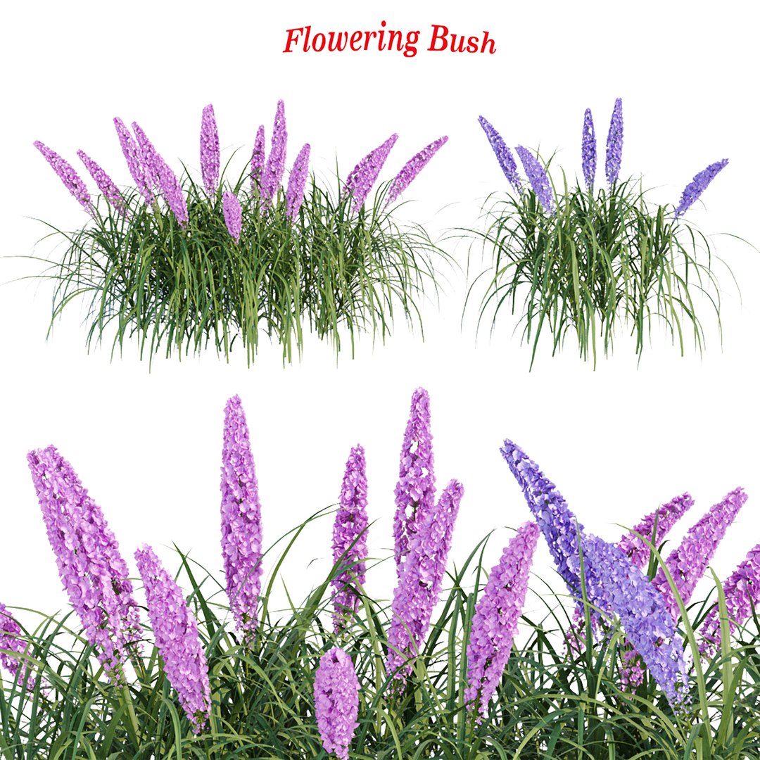 3D Outdoor Flowering Bush Collection Vol 74 Model - TurboSquid 1960358