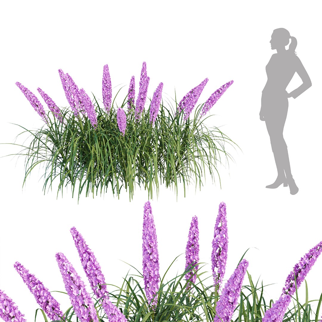 3D Outdoor Flowering Bush Collection Vol 74 Model - TurboSquid 1960358