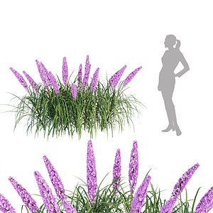 3D outdoor flowering bush collection  vol 74 model
