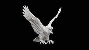 3D Raven with Open Beak in Flight model