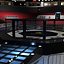 ufc fighting arena max