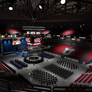 UFC Stadium
