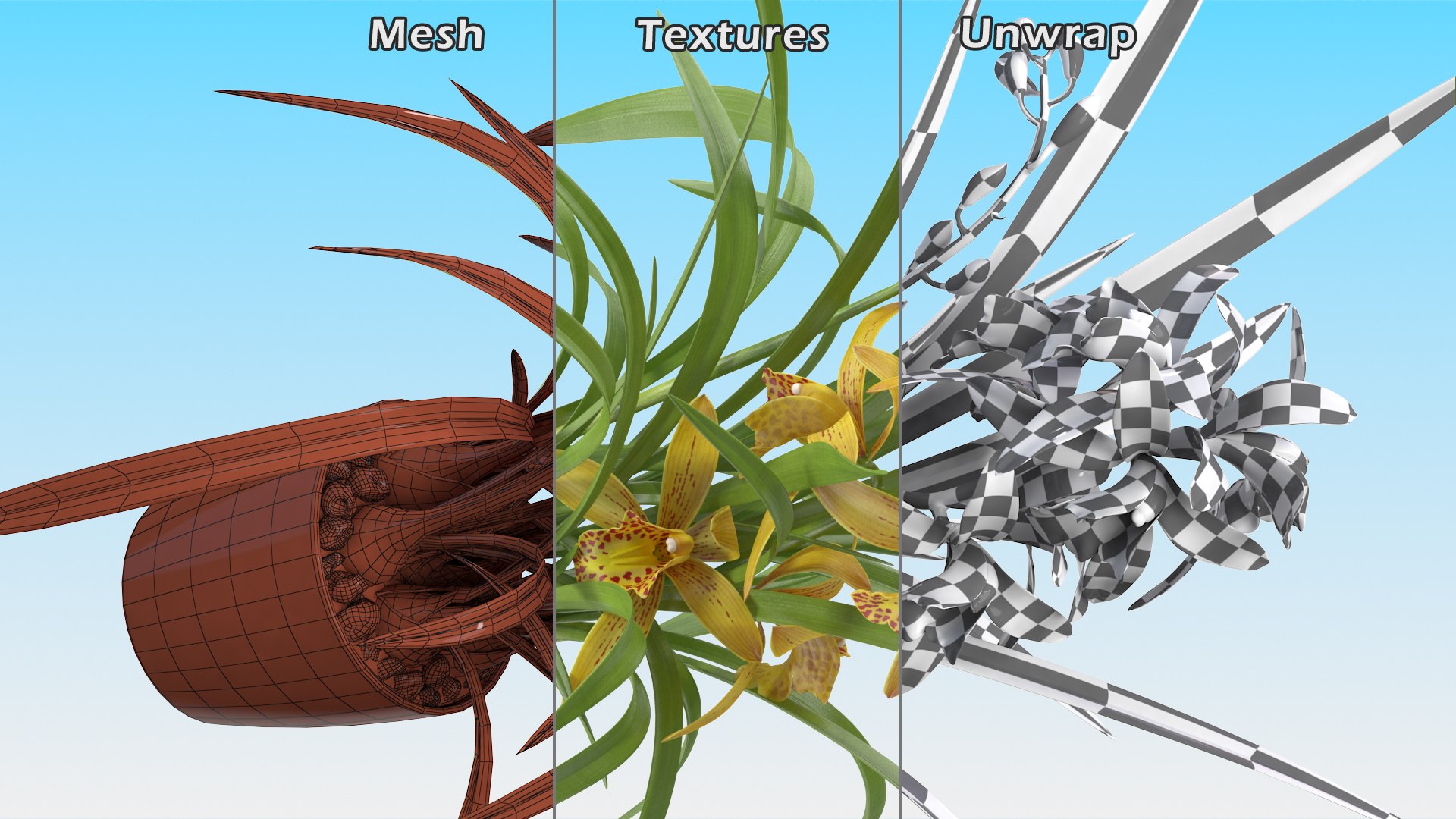 3D model Flower Pots Collection 7 https://p.turbosquid.com/ts-thumb/Ev/JxSdCY/3v/flowerpotscollection7c4dmodel034/jpg/1695184935/1920x1080/fit_q87/f716b7f6a4066e570a34ad34b38c31df235add88/flowerpotscollection7c4dmodel034.jpg