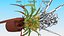 Flower Pots Collection 7