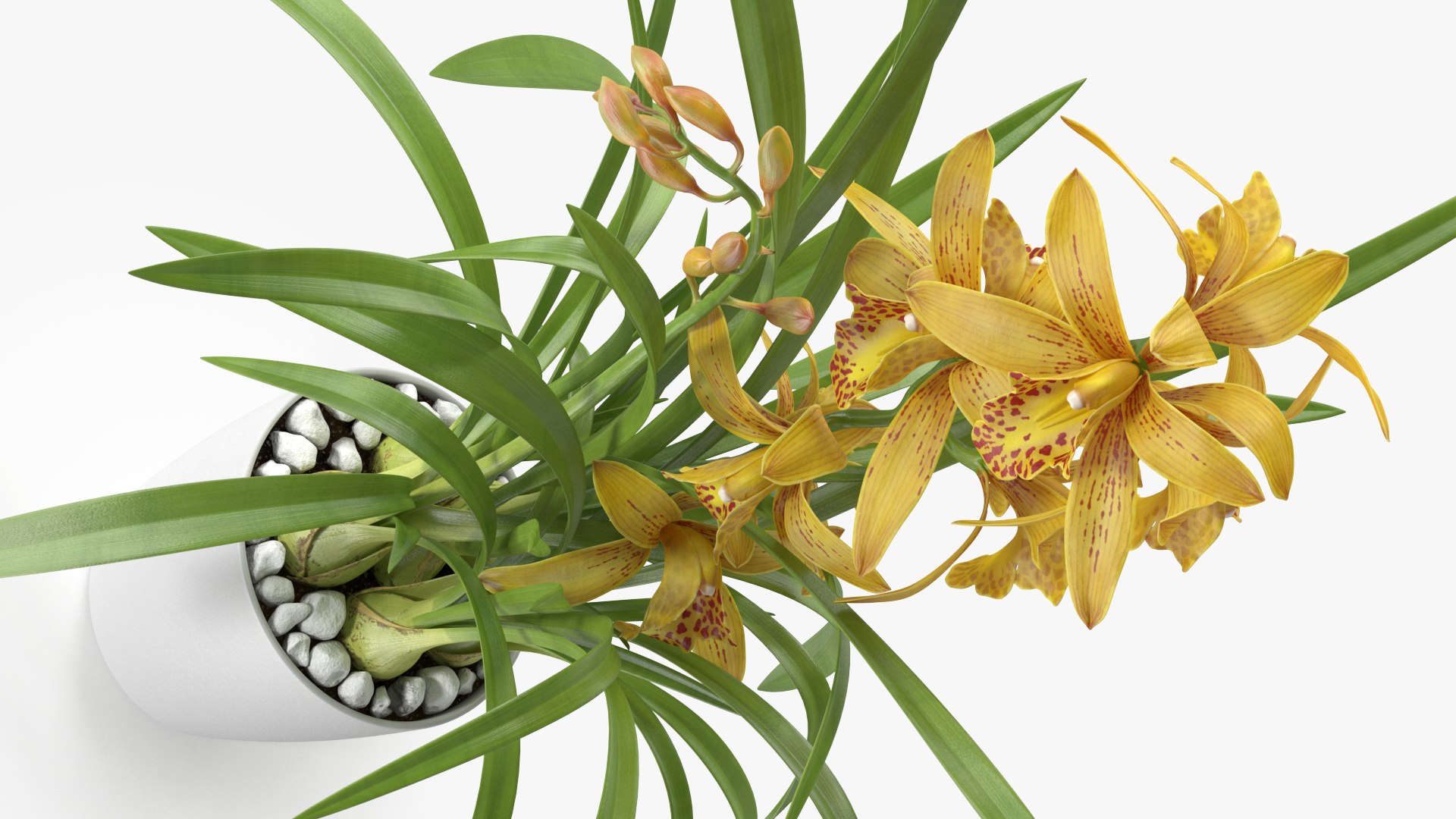 3D model Flower Pots Collection 7 https://p.turbosquid.com/ts-thumb/Ev/JxSdCY/9S/flowerpotscollection7c4dmodel038/jpg/1695184951/1920x1080/fit_q87/7a53a68dc7305df9b96e7bc44fd6e70ee12cfb12/flowerpotscollection7c4dmodel038.jpg