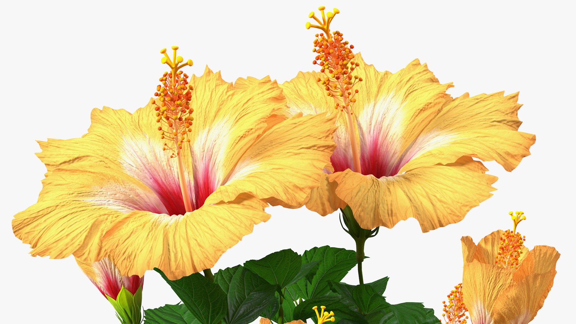 3D model Flower Pots Collection 7 https://p.turbosquid.com/ts-thumb/Ev/JxSdCY/C4/flowerpotscollection7c4dmodel058/jpg/1695185050/1920x1080/fit_q87/1b5d944a1b693bd06f71af4c86f812dbcbbd09e0/flowerpotscollection7c4dmodel058.jpg