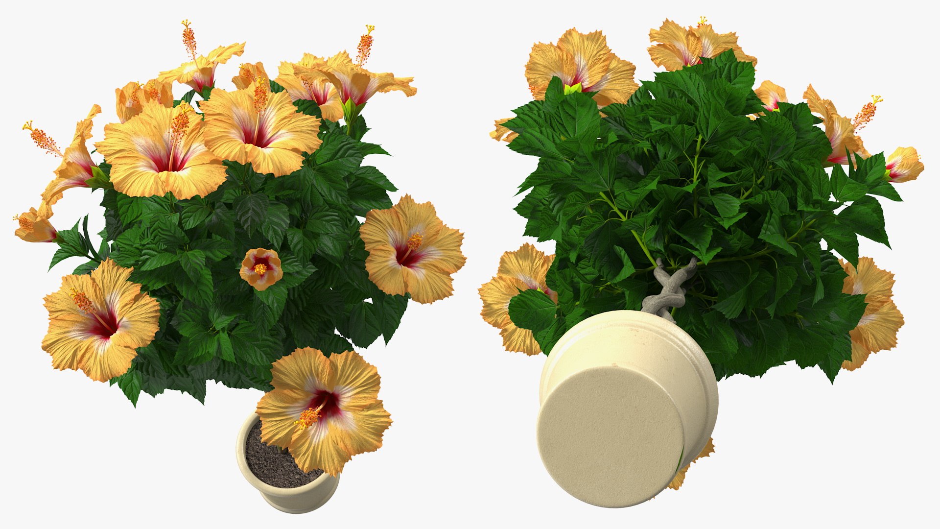 3D model Flower Pots Collection 7 https://p.turbosquid.com/ts-thumb/Ev/JxSdCY/CE/flowerpotscollection7c4dmodel055/jpg/1695185035/1920x1080/fit_q87/d1946c097cd378c18e0de80301753e3ff26a3b60/flowerpotscollection7c4dmodel055.jpg