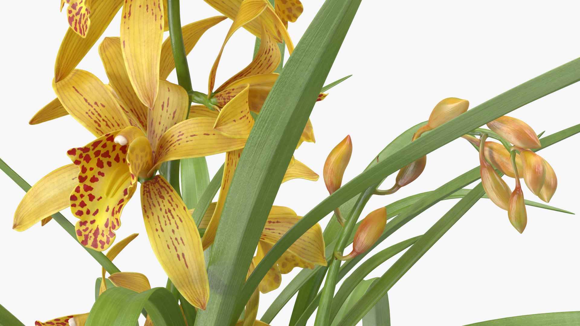 3D model Flower Pots Collection 7 https://p.turbosquid.com/ts-thumb/Ev/JxSdCY/Gz/flowerpotscollection7c4dmodel043/jpg/1695184972/1920x1080/fit_q87/4fdc6fe2a6032ced060a41a283a2d56a780350ea/flowerpotscollection7c4dmodel043.jpg