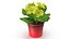 Flower Pots Collection 7