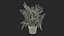 Flower Pots Collection 7