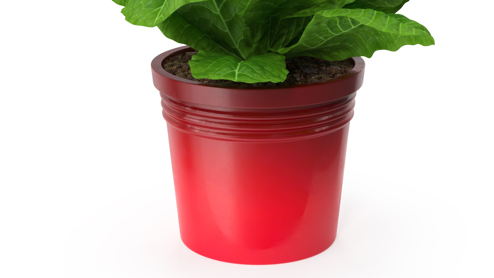 3D model Flower Pots Collection 7 https://p.turbosquid.com/ts-thumb/Ev/JxSdCY/MD/flowerpotscollection7c4dmodel020/jpg/1695184894/1920x1080/fit_q87/5ccdd4976694524fc166ba266eab7936bad94deb/flowerpotscollection7c4dmodel020.jpg
