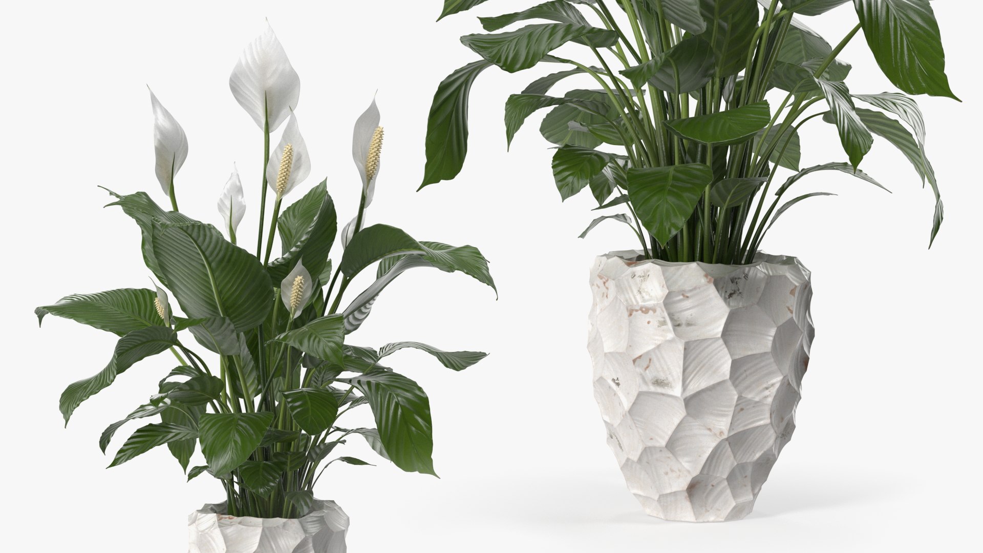 3D model Flower Pots Collection 7 https://p.turbosquid.com/ts-thumb/Ev/JxSdCY/Qc/flowerpotscollection7c4dmodel009/jpg/1695184848/1920x1080/fit_q87/8b733374d3d4c36d62178c28aae151b2390a7e34/flowerpotscollection7c4dmodel009.jpg