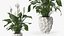 Flower Pots Collection 7