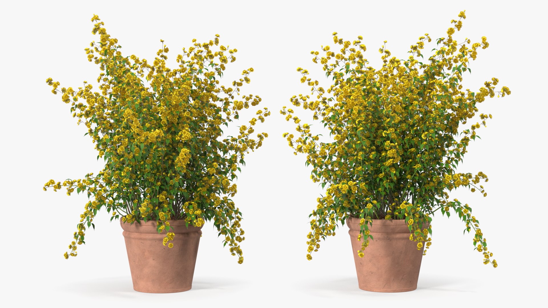 3D model Flower Pots Collection 7 https://p.turbosquid.com/ts-thumb/Ev/JxSdCY/SX/flowerpotscollection7c4dmodel027/jpg/1695184905/1920x1080/fit_q87/0ddad51a301c1e52842be7219dc7fb30f04c1e29/flowerpotscollection7c4dmodel027.jpg