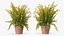 Flower Pots Collection 7