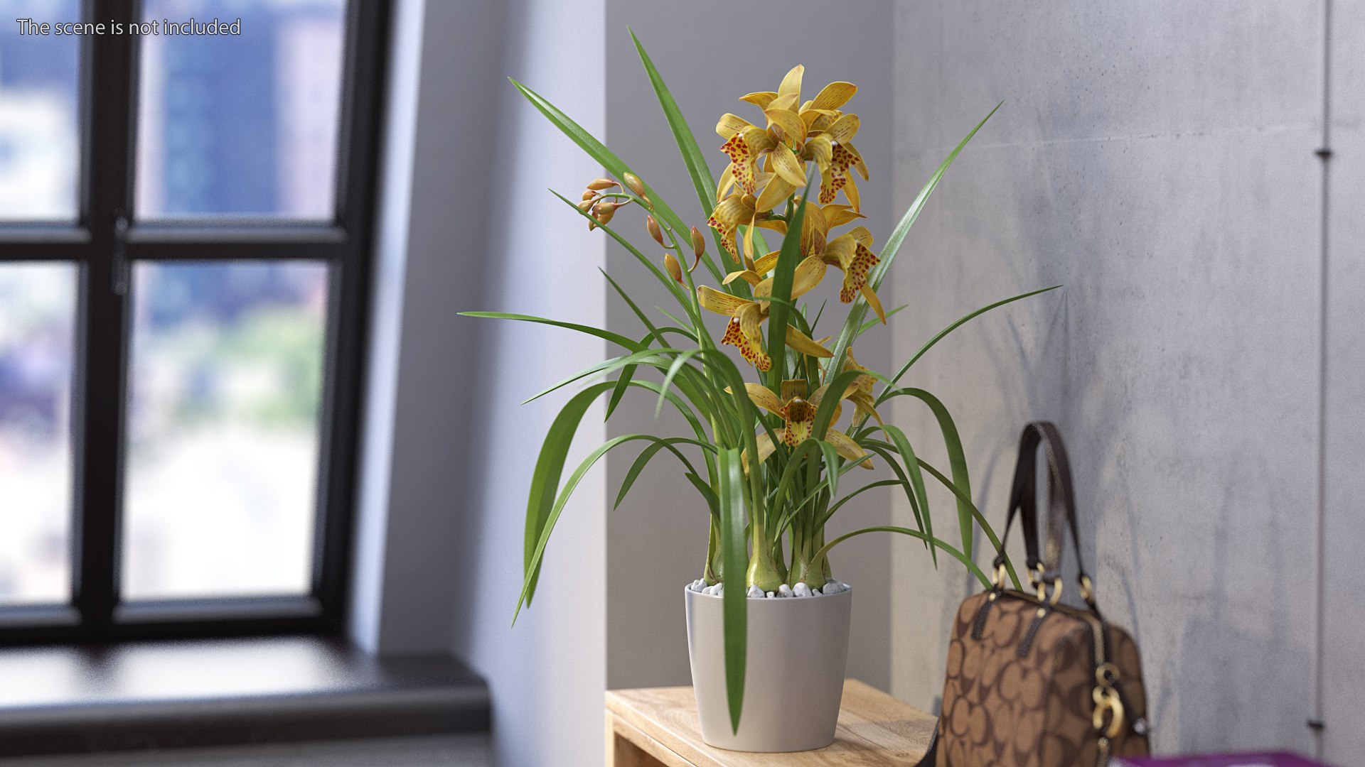 3D model Flower Pots Collection 7 https://p.turbosquid.com/ts-thumb/Ev/JxSdCY/WC/flowerpotscollection7c4dmodel032/jpg/1695184927/1920x1080/fit_q87/7bc3655bef1743dbe828891266340b0f0068f9e0/flowerpotscollection7c4dmodel032.jpg