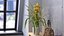 Flower Pots Collection 7