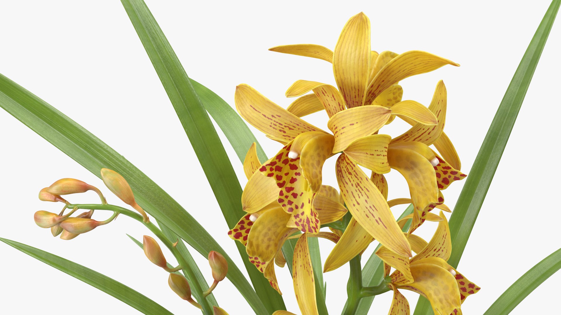 3D model Flower Pots Collection 7 https://p.turbosquid.com/ts-thumb/Ev/JxSdCY/XI/flowerpotscollection7c4dmodel042/jpg/1695184968/1920x1080/fit_q87/21b21f8dc10450165740d261d5e97f8ac497193d/flowerpotscollection7c4dmodel042.jpg