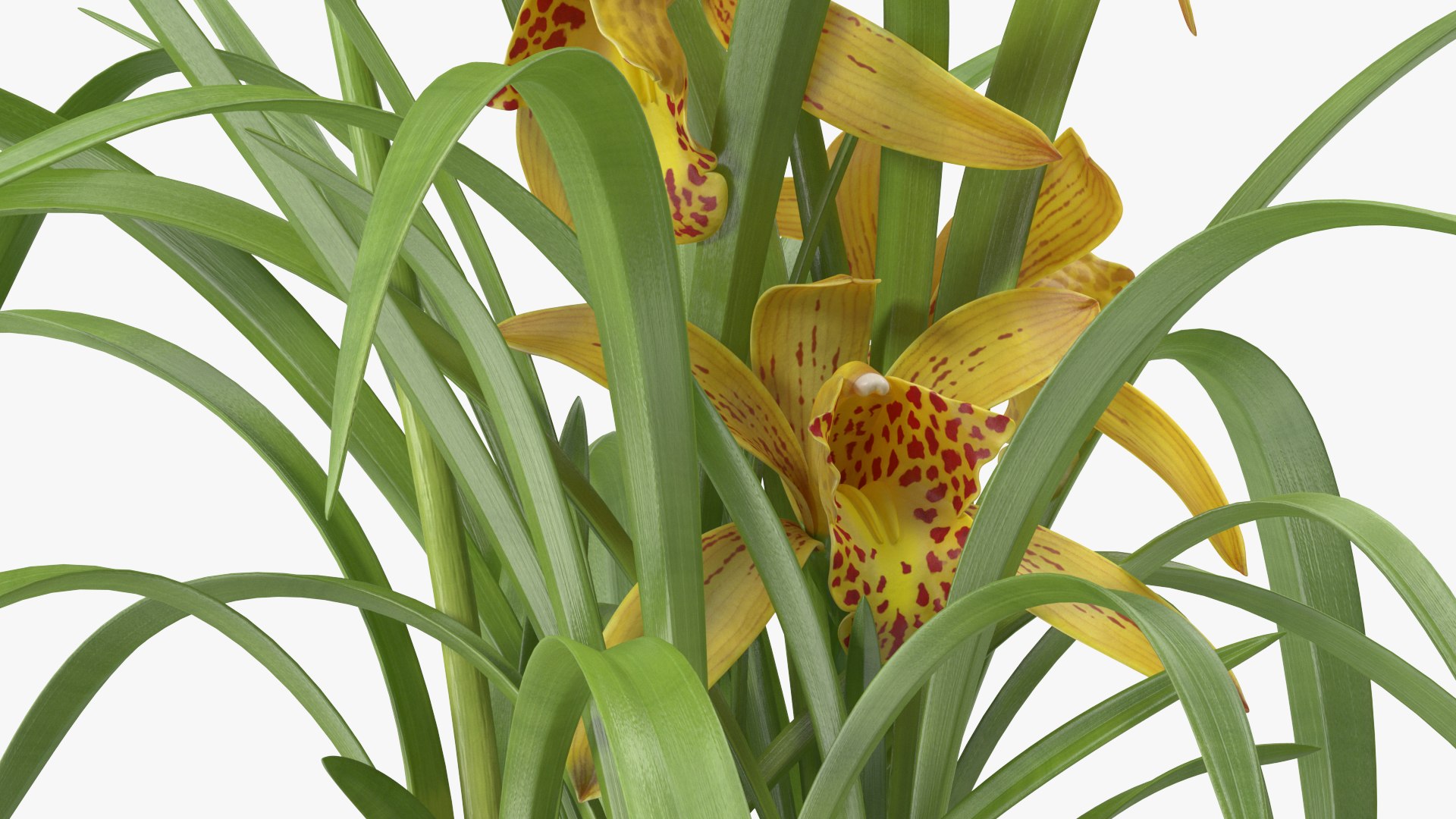 3D model Flower Pots Collection 7 https://p.turbosquid.com/ts-thumb/Ev/JxSdCY/Zw/flowerpotscollection7c4dmodel045/jpg/1695184982/1920x1080/fit_q87/e884a3721fad7483bfc2ca516a75ed4312f014c1/flowerpotscollection7c4dmodel045.jpg