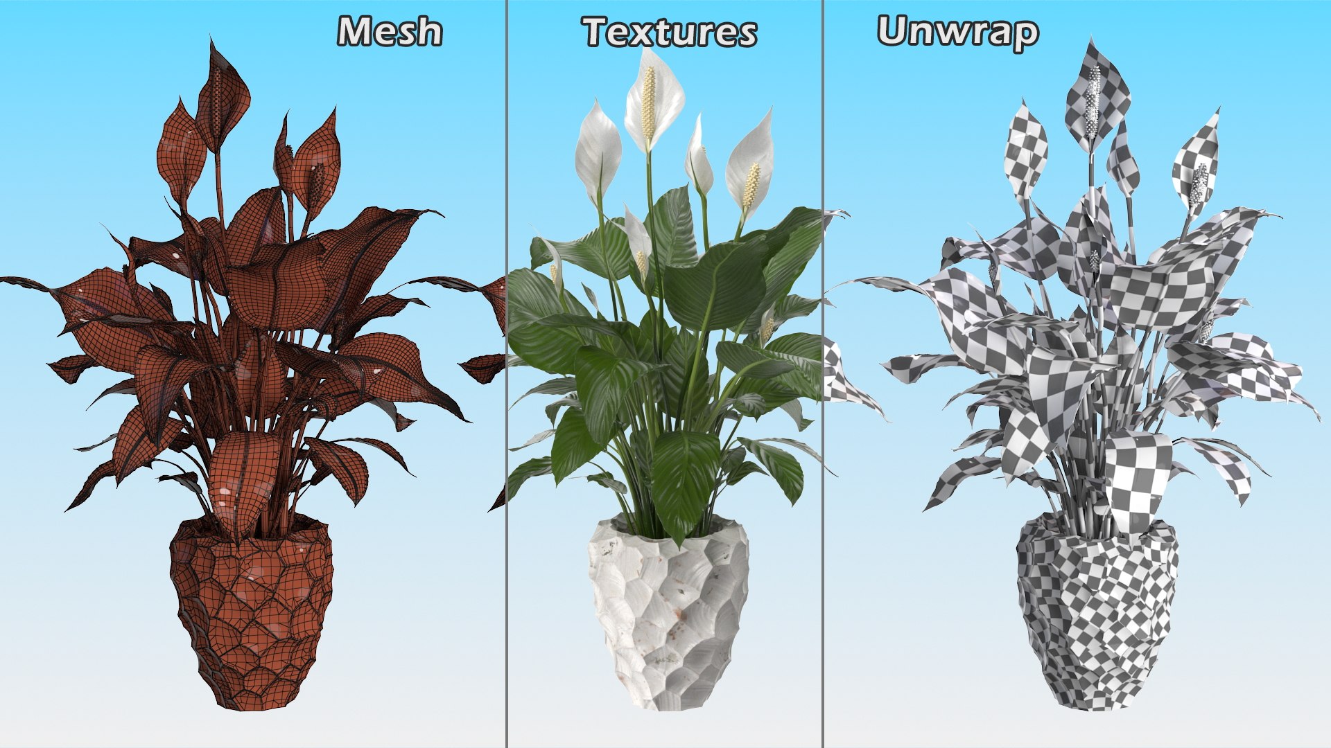 3D model Flower Pots Collection 7 https://p.turbosquid.com/ts-thumb/Ev/JxSdCY/aG/flowerpotscollection7c4dmodel005/jpg/1695184831/1920x1080/fit_q87/b96f2503fef3151a7933e8776939a934a6e83835/flowerpotscollection7c4dmodel005.jpg