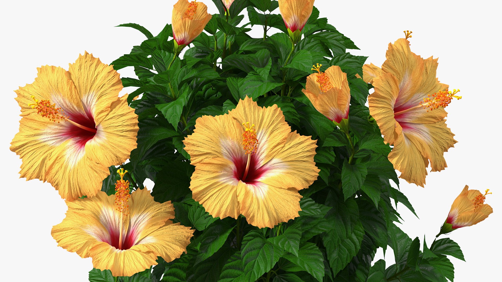 3D model Flower Pots Collection 7 https://p.turbosquid.com/ts-thumb/Ev/JxSdCY/al/flowerpotscollection7c4dmodel056/jpg/1695185039/1920x1080/fit_q87/7447163ccced665377b4a62d66fafb846f6131c1/flowerpotscollection7c4dmodel056.jpg