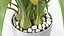 Flower Pots Collection 7
