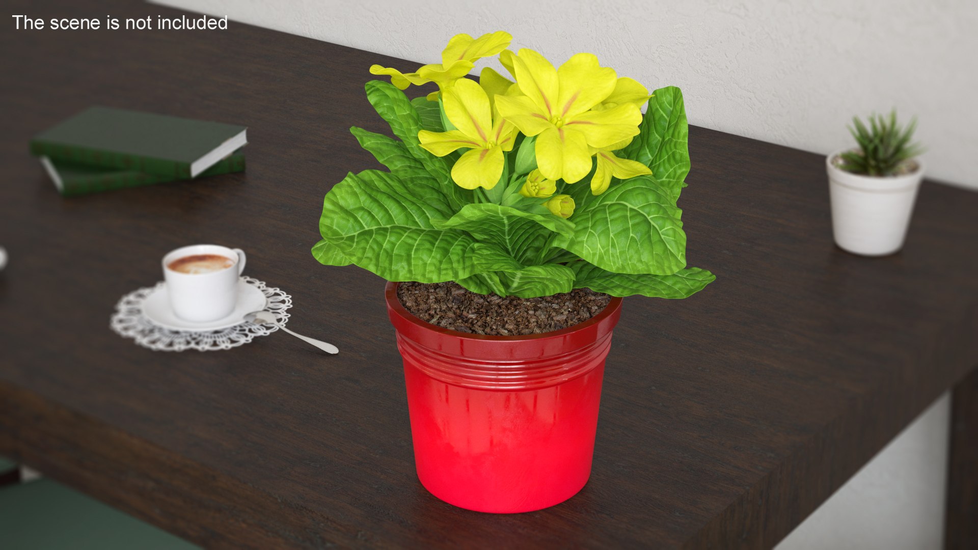 3D model Flower Pots Collection 7 https://p.turbosquid.com/ts-thumb/Ev/JxSdCY/dn/flowerpotscollection7c4dmodel013/jpg/1695184865/1920x1080/fit_q87/5a48f6ecec09d3eda265d410f4939a46d5319195/flowerpotscollection7c4dmodel013.jpg