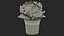 Flower Pots Collection 7