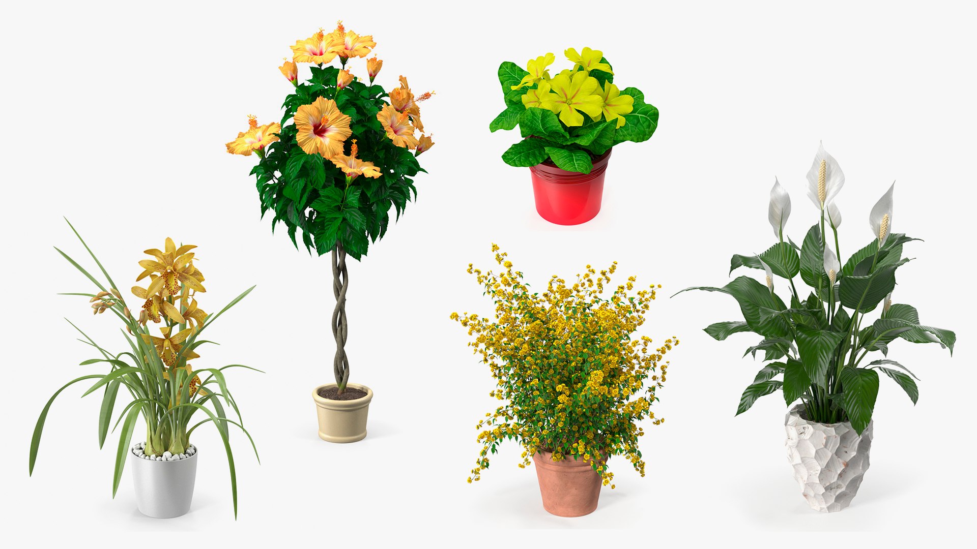 Flower Pots Collection 7 3D model preview