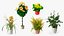 Flower Pots Collection 7