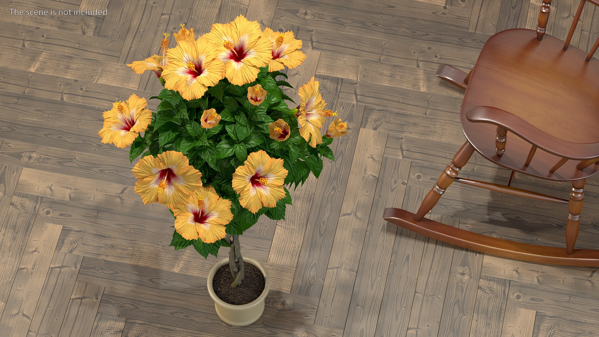 3D model Flower Pots Collection 7 https://p.turbosquid.com/ts-thumb/Ev/JxSdCY/ed/flowerpotscollection7c4dmodel048/jpg/1695184999/1920x1080/fit_q87/a5656e51b4d21bb9810337ef4bb30ff910291df9/flowerpotscollection7c4dmodel048.jpg