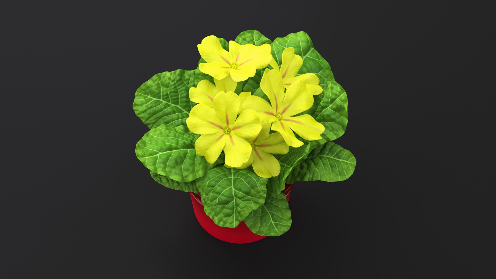 3D model Flower Pots Collection 7 https://p.turbosquid.com/ts-thumb/Ev/JxSdCY/fL/flowerpotscollection7c4dmodel016/jpg/1695184878/1920x1080/fit_q87/6bfb13d9638c74274ab8a29f80bfa5538209fa69/flowerpotscollection7c4dmodel016.jpg