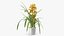 Flower Pots Collection 7