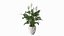 Flower Pots Collection 7