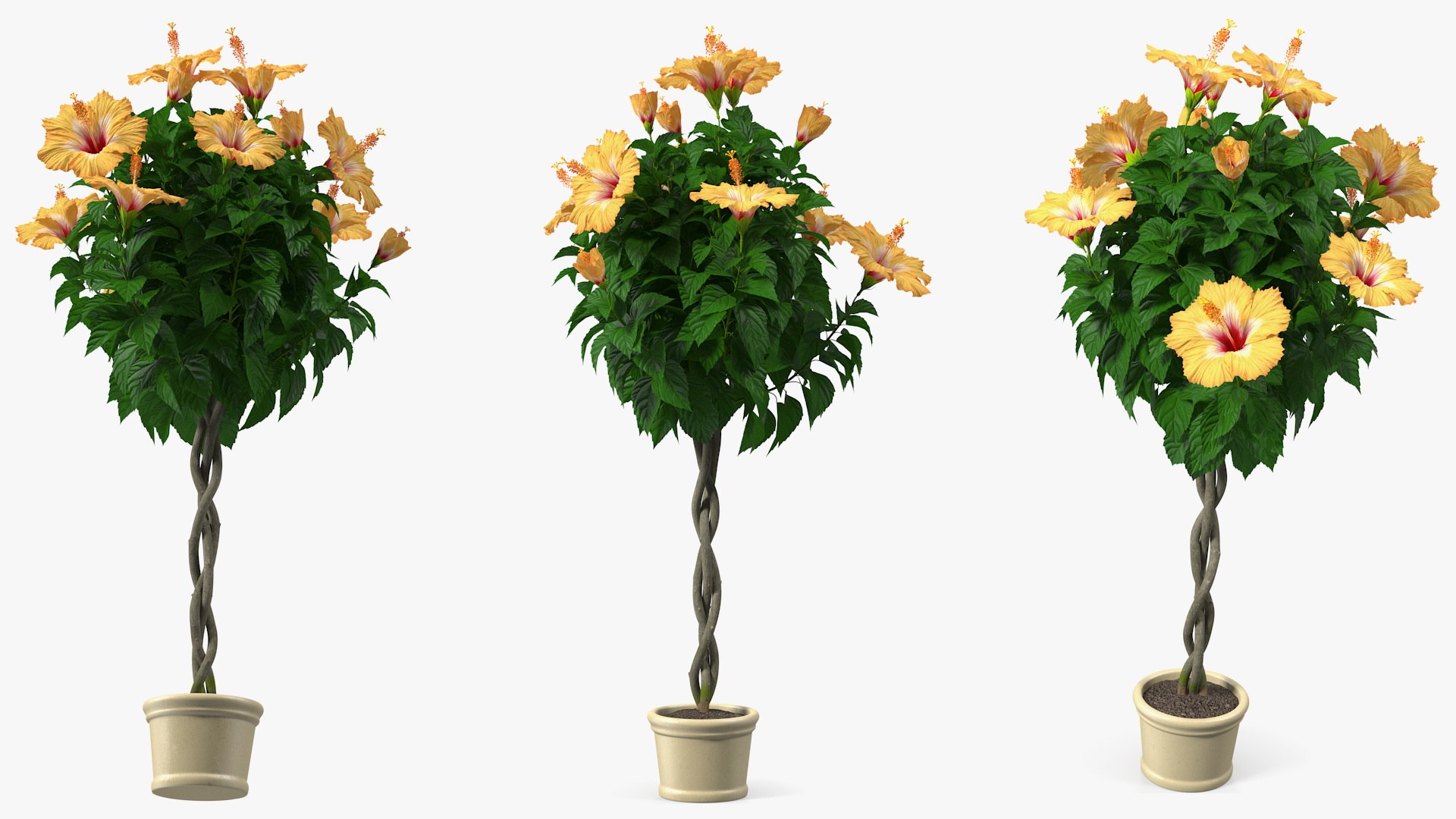 3D model Flower Pots Collection 7 https://p.turbosquid.com/ts-thumb/Ev/JxSdCY/iO/flowerpotscollection7c4dmodel054/jpg/1695185030/1920x1080/fit_q87/88c27ab60c0b973e1c0bbb4f4f82bf8a27b39a27/flowerpotscollection7c4dmodel054.jpg