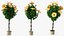 Flower Pots Collection 7