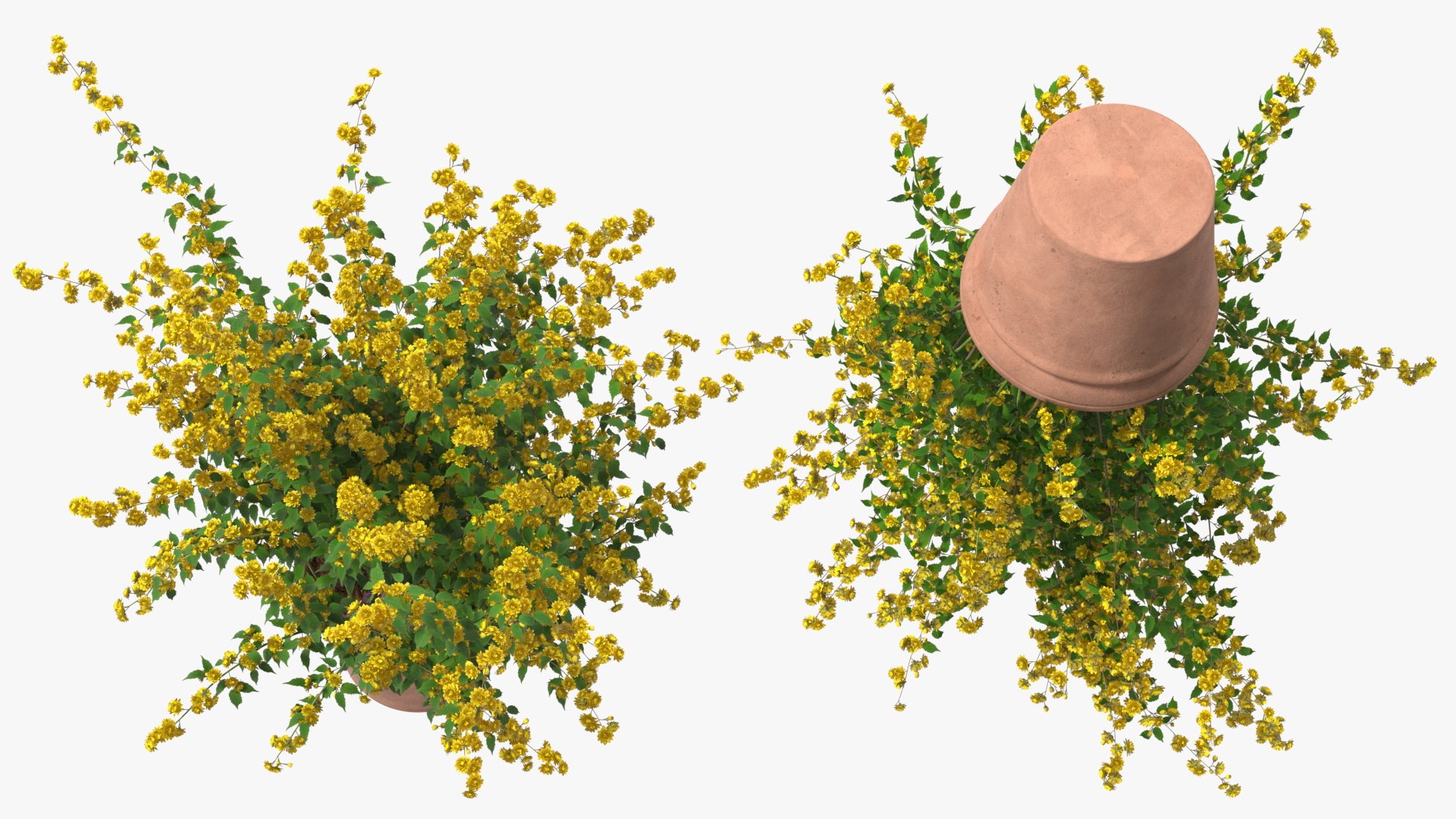 3D model Flower Pots Collection 7 https://p.turbosquid.com/ts-thumb/Ev/JxSdCY/j7/flowerpotscollection7c4dmodel028/jpg/1695184909/1920x1080/fit_q87/cef39887dcd07dc1e4dd980c9d5e2c8747576ce1/flowerpotscollection7c4dmodel028.jpg