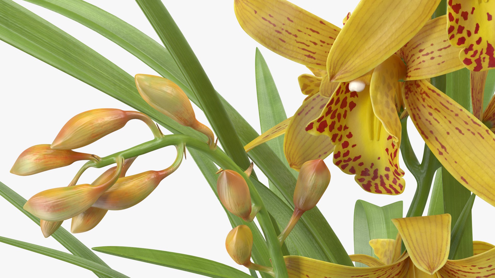3D model Flower Pots Collection 7 https://p.turbosquid.com/ts-thumb/Ev/JxSdCY/k6/flowerpotscollection7c4dmodel044/jpg/1695184977/1920x1080/fit_q87/745e2018a6de1f79e67fd52e9745200873c716d8/flowerpotscollection7c4dmodel044.jpg