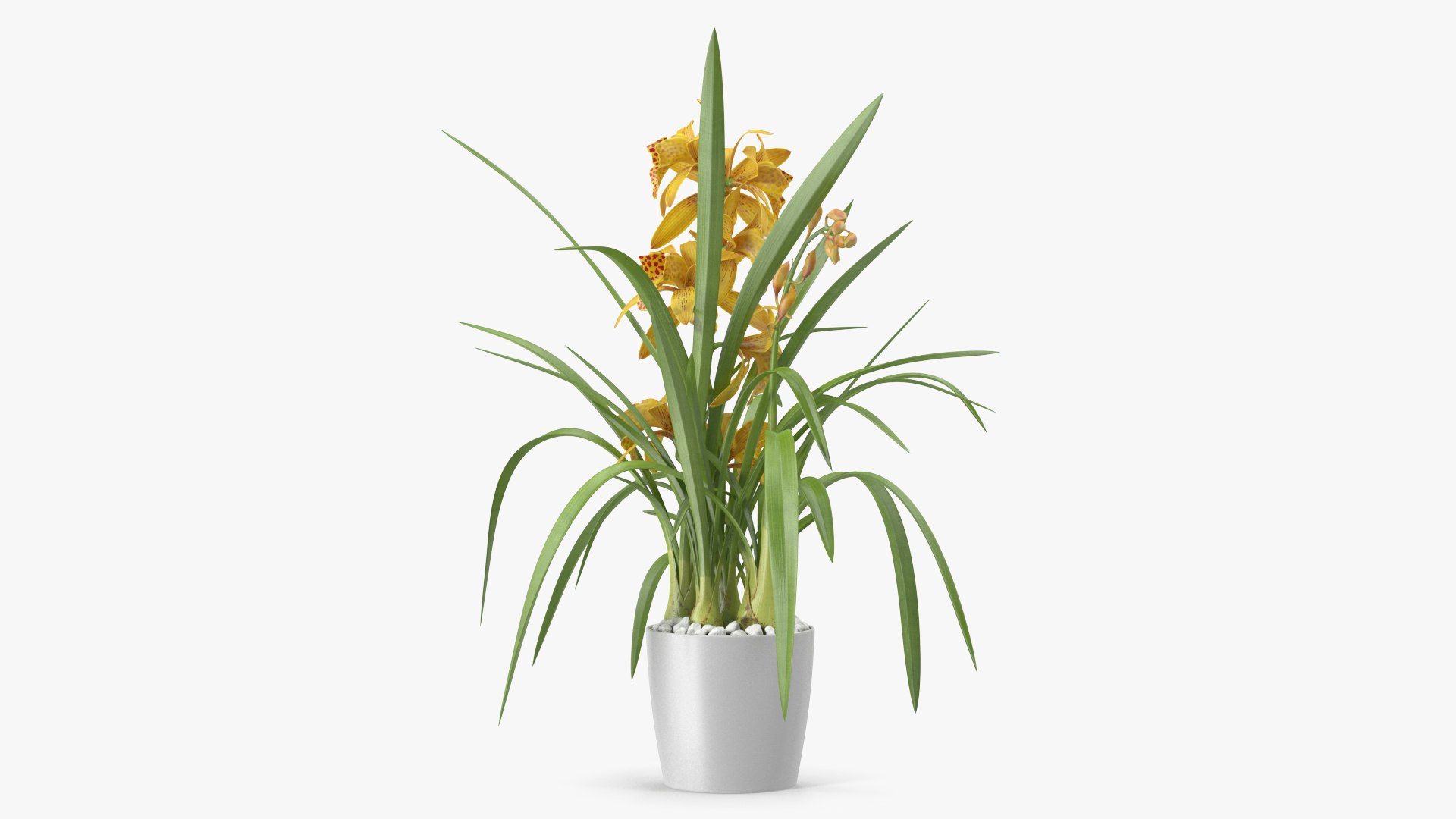 3D model Flower Pots Collection 7 https://p.turbosquid.com/ts-thumb/Ev/JxSdCY/kE/flowerpotscollection7c4dmodel037/jpg/1695184947/1920x1080/fit_q87/a50f03d2af4fce3b5e0157e2333472a8b7093189/flowerpotscollection7c4dmodel037.jpg