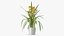 Flower Pots Collection 7